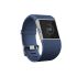 Fitbit Surge Watch Test